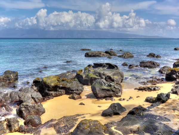 Kahana Condo 948669