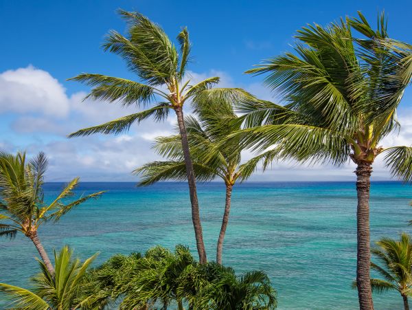Kahana Condo 948669
