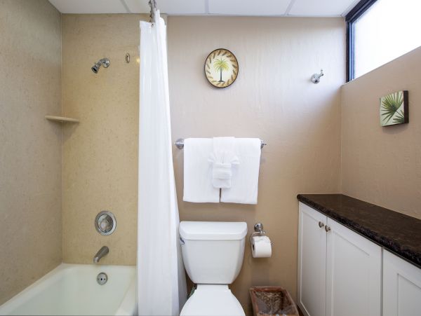 Kaanapali Condo 948671