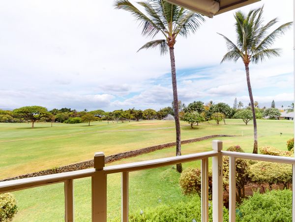 Wailea Condo 948672