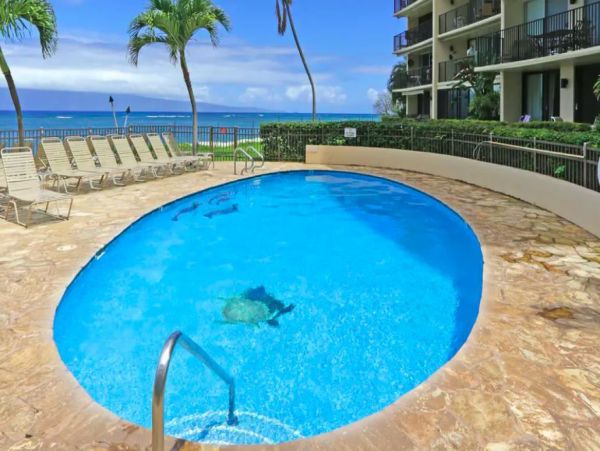 Unbeatable Ocean Views