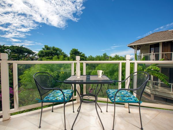 Wailea Condo 948676