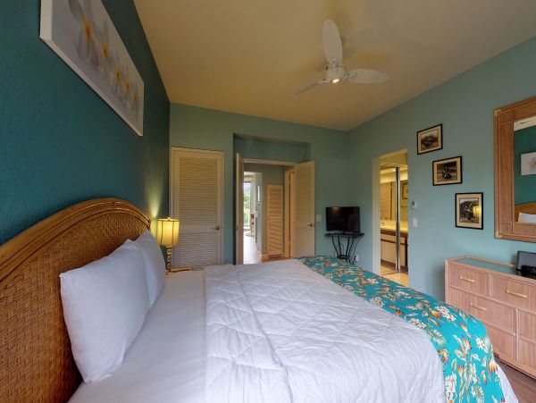 Wailea Condo 948676