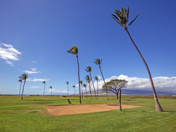 Kihei Condo 948677