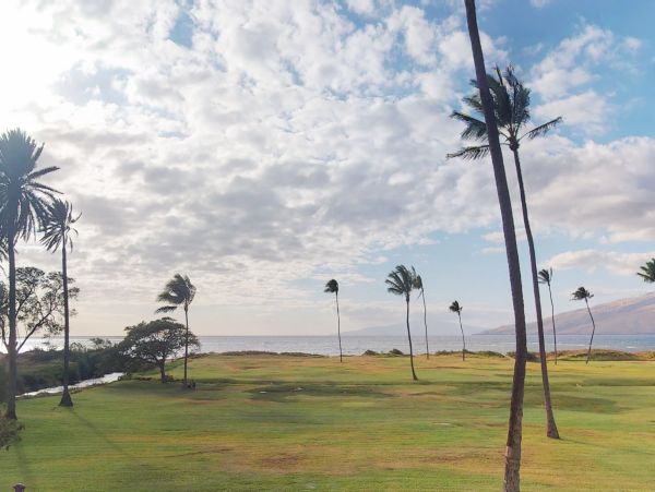 Kihei Condo 948677