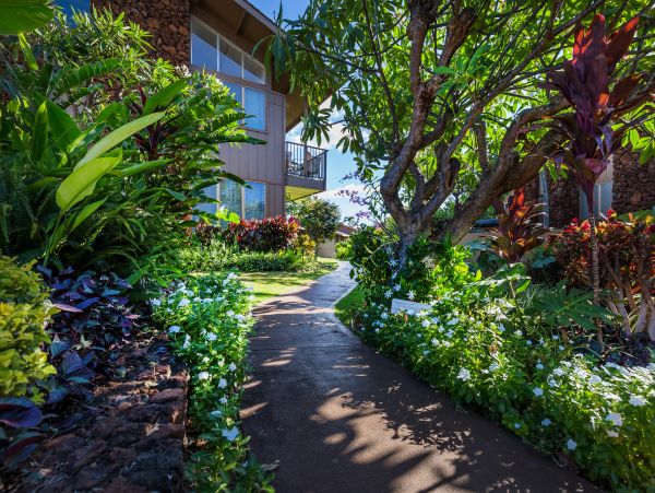 Kahana Condo 948687