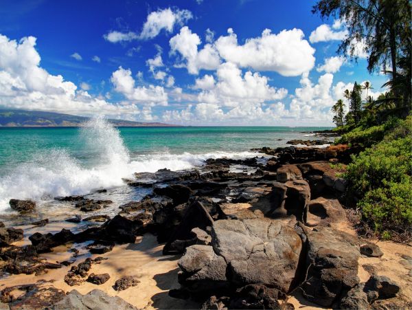 Kahana Condo 948687