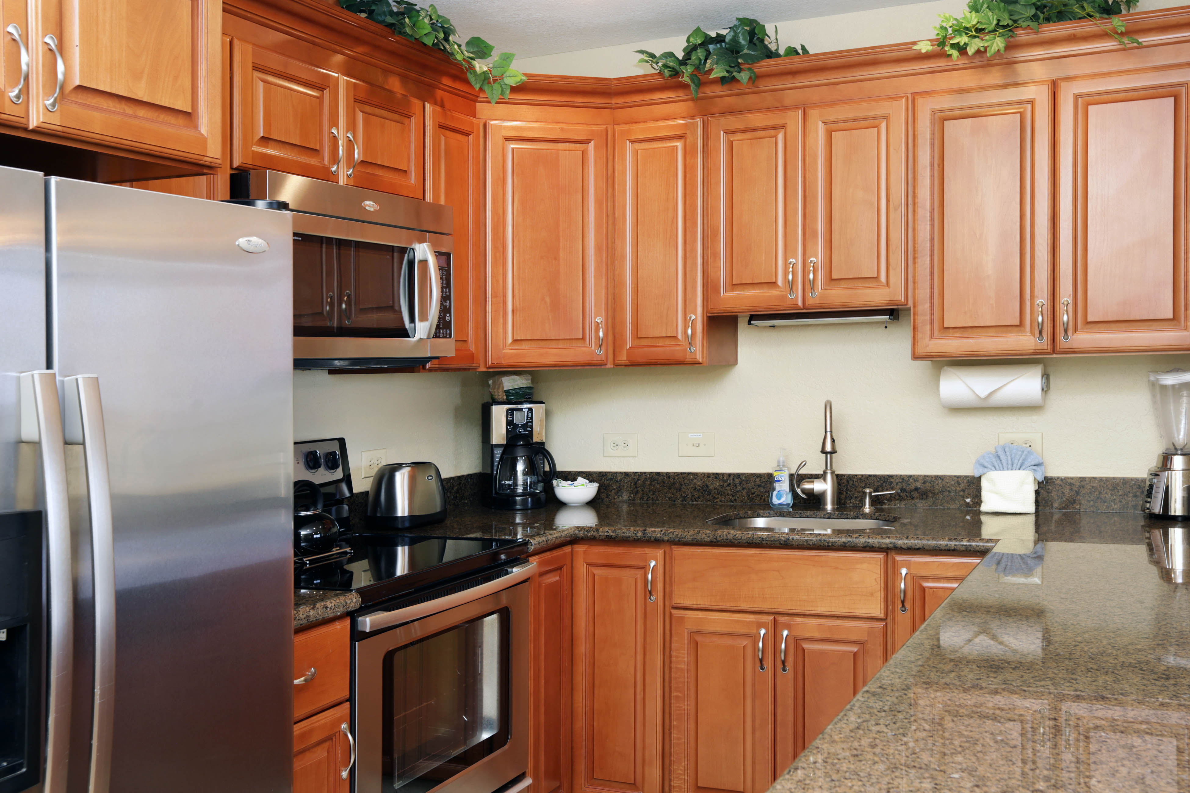 Kaanapali Condo 948691