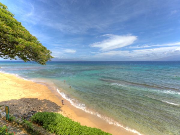 Kaanapali Condo 948691