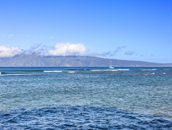 Oceanfront 2 Bedroom Condo with Great Views
