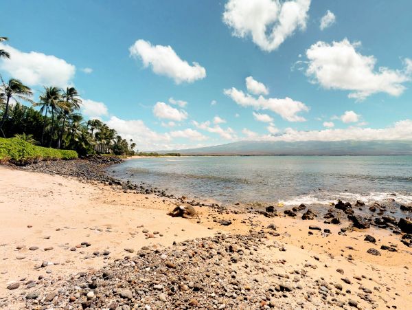 Kihei Condo 948698