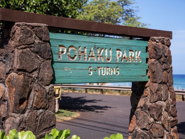 Kahana Condo 948700