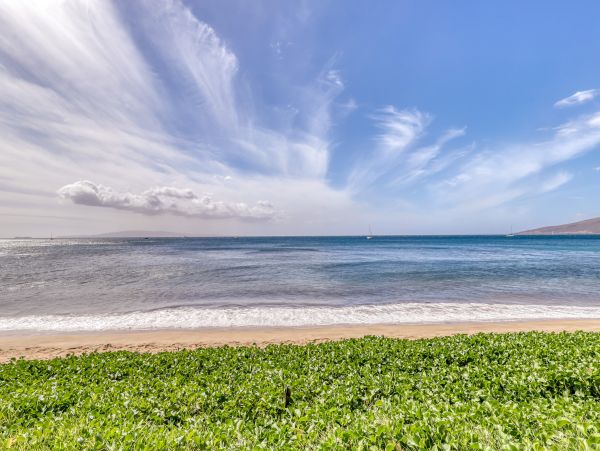 Kihei Condo 948703