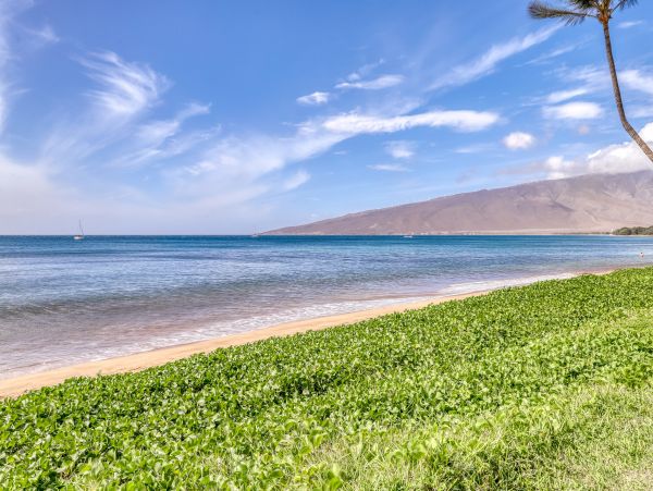 Kihei Condo 948703