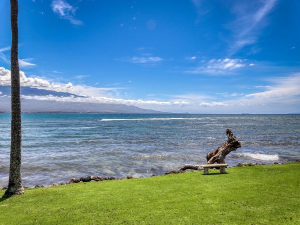 Lahaina Condo 948709