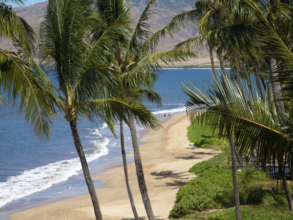 Kihei Condo 948712