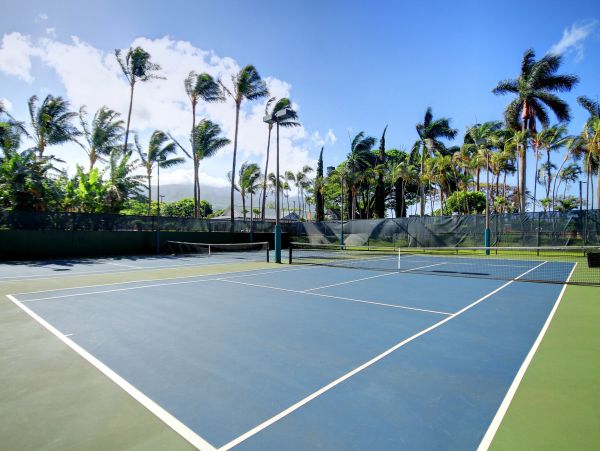 Kaanapali Condo 948713