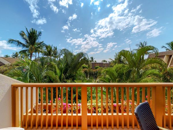 Wailea Condo 948717