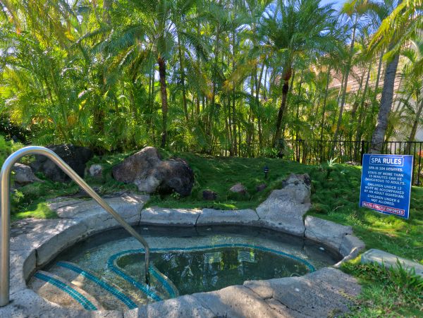 Wailea Condo 948717