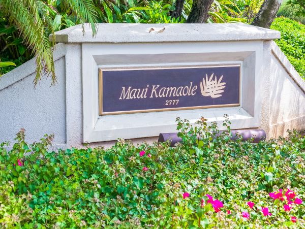 Wailea Condo 948717