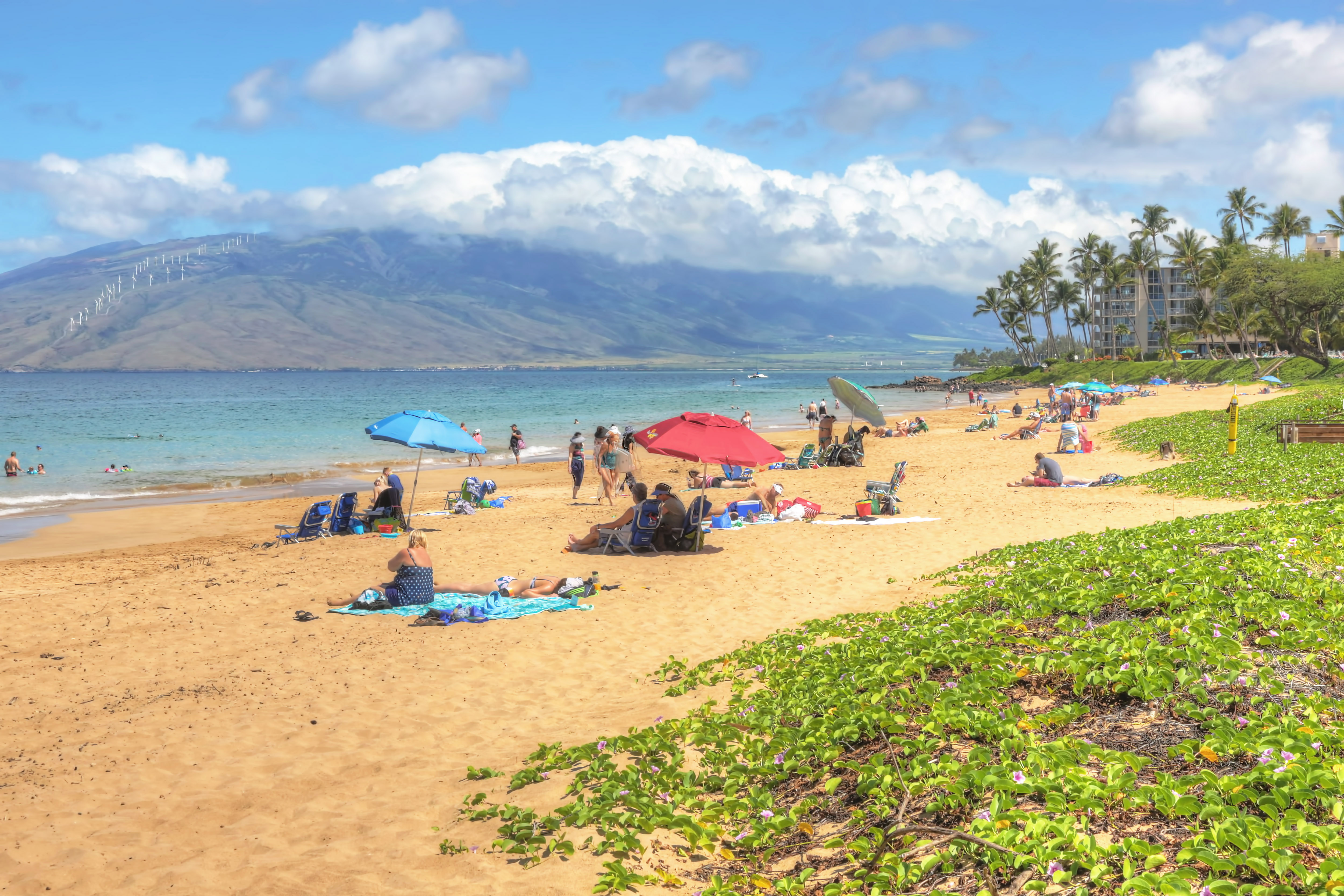 Kihei Condo 948718
