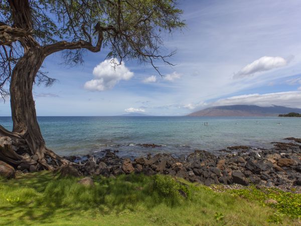 Kihei Condo 948718