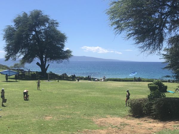 Kihei Condo 948718
