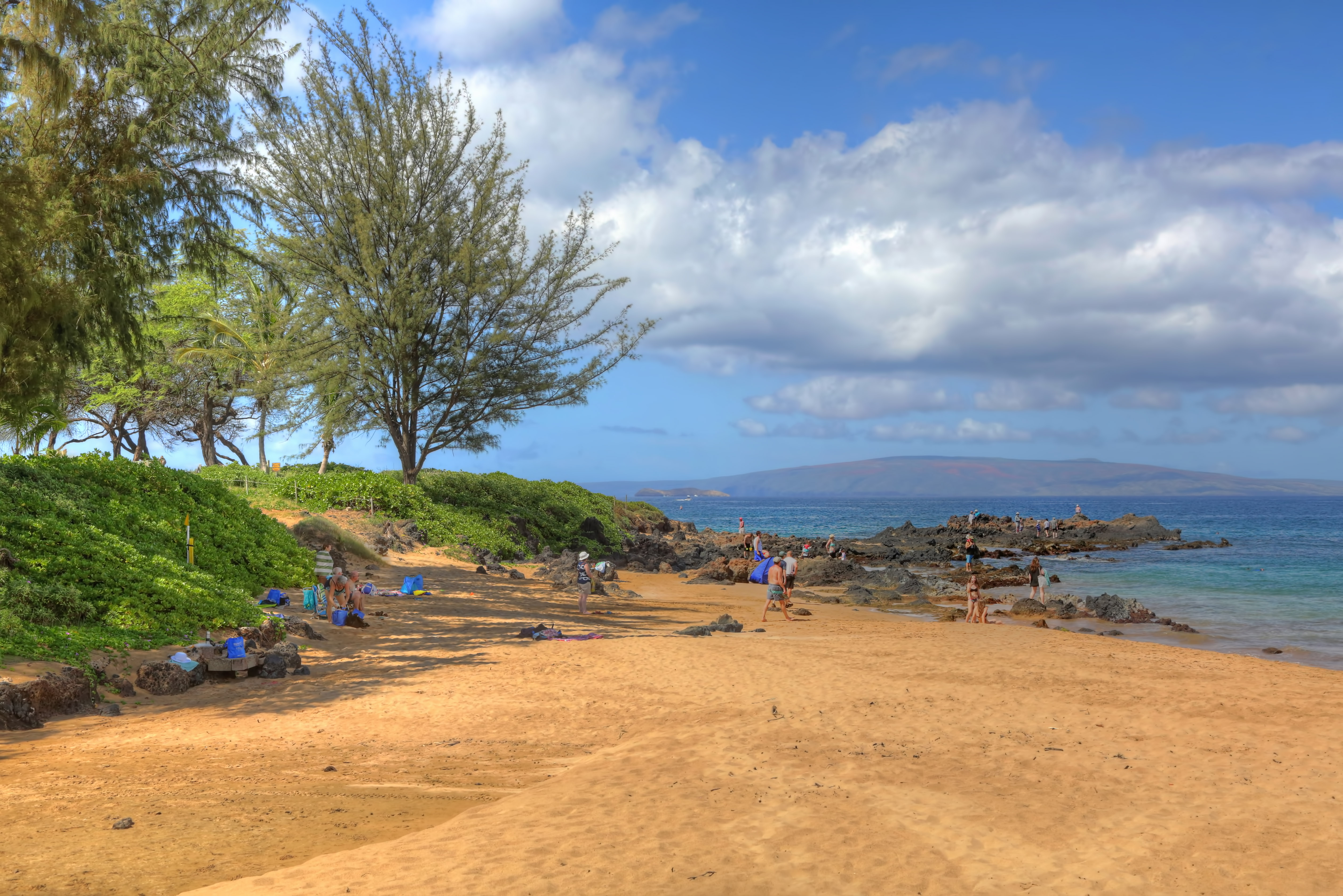 Kihei Condo 948718