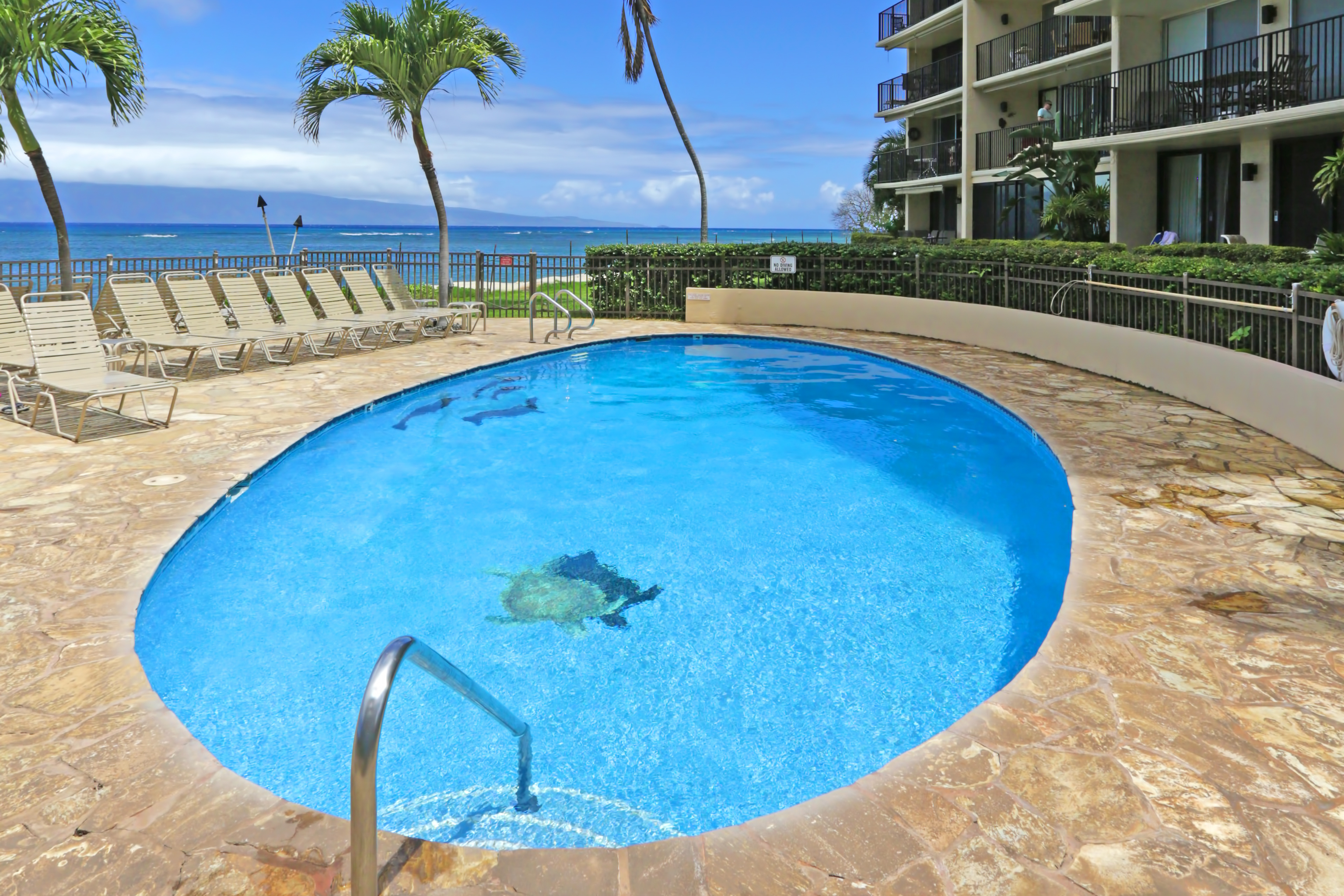Kahana Condo 948719