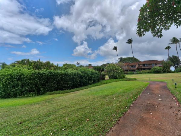 Kaanapali Condo 948721