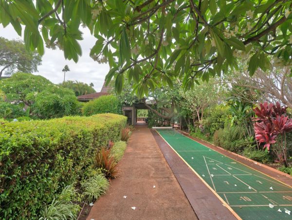 Kaanapali Condo 948721