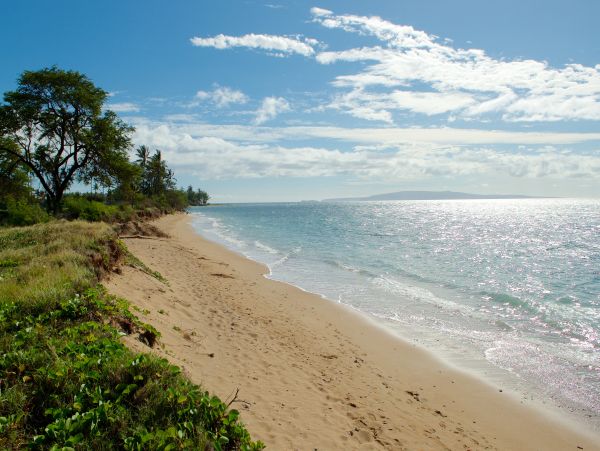 Kihei Condo 948723
