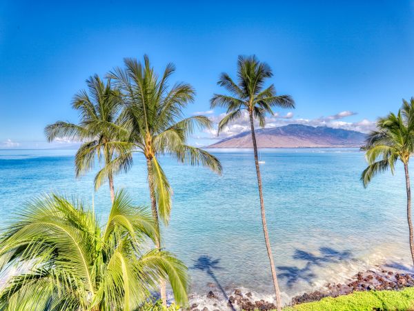 Kihei Condo 948726