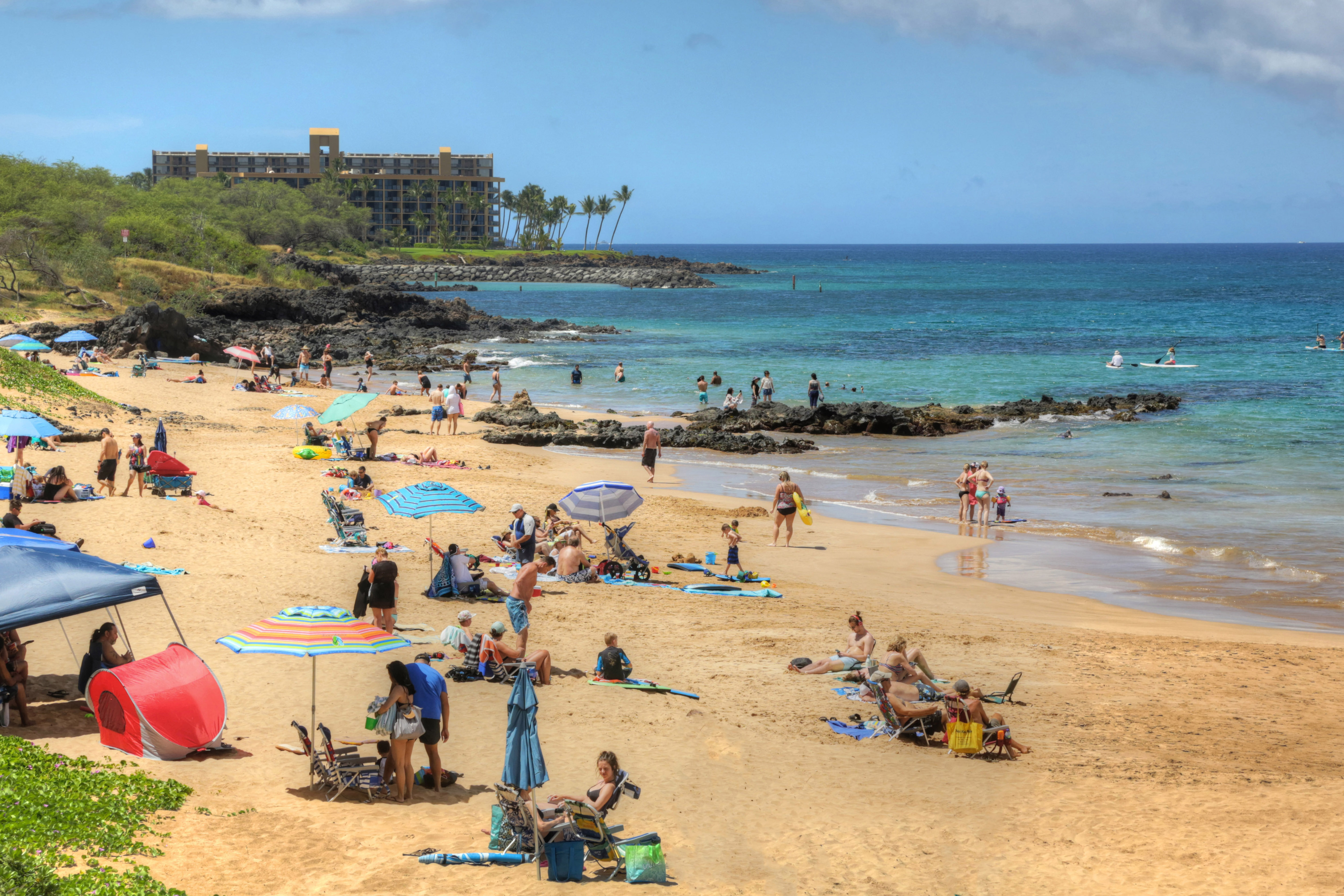 Wailea Condo 948734