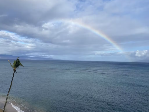 Kahana Condo 948738