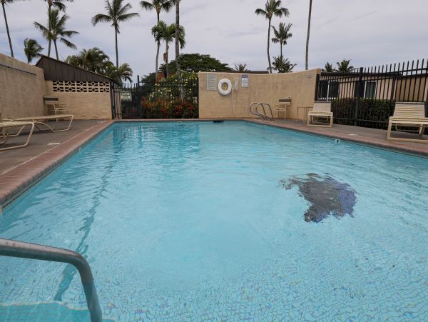 Kapalua Condo 948741