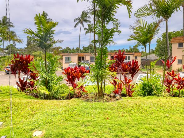 Kapalua Condo 948741