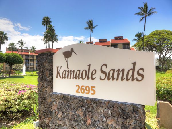 Wailea Condo 948747