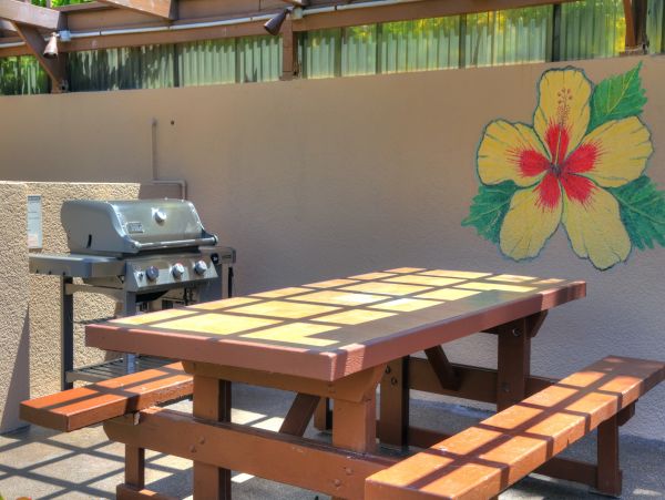 Wailea Condo 948747