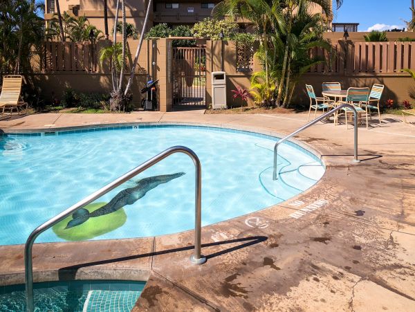 Kaanapali Condo 948752