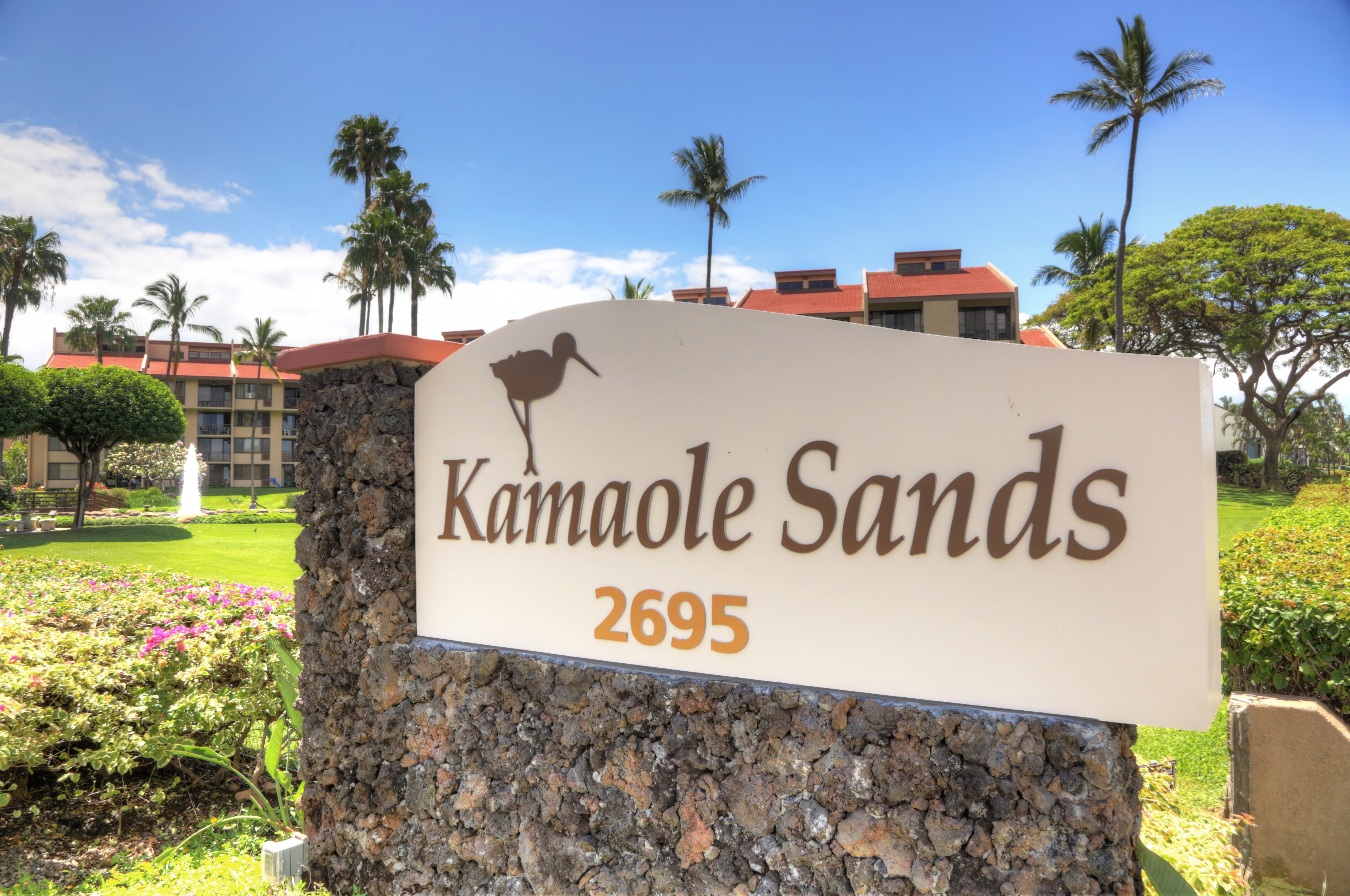Wailea Condo 948758