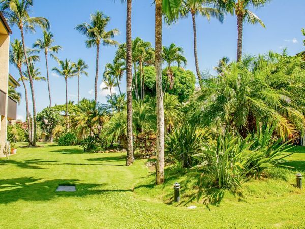 Kihei Condo 948760