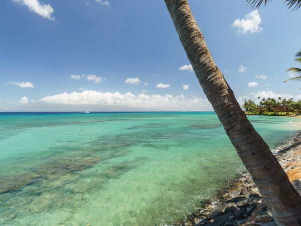 Kahana Condo 948761