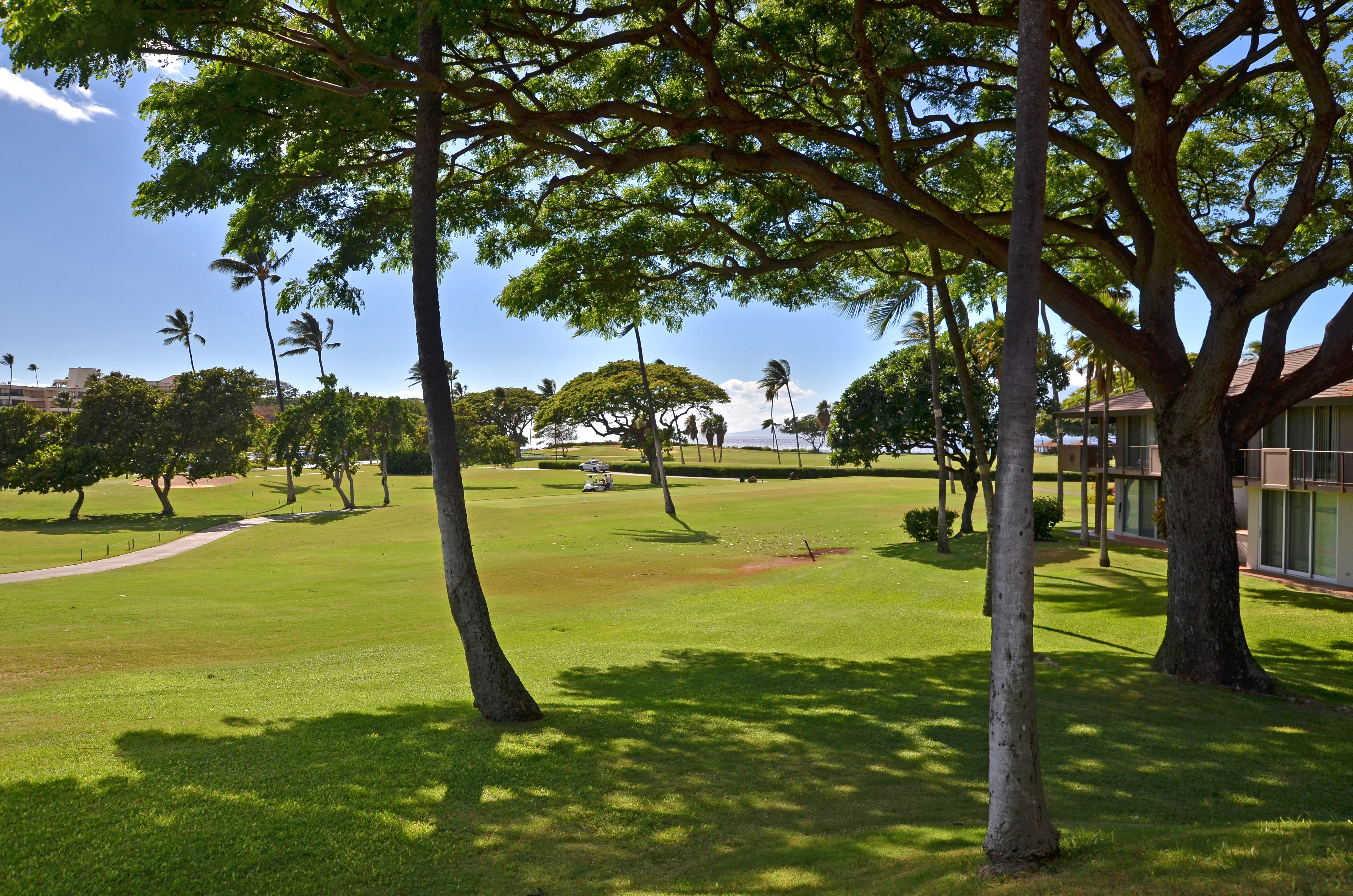 Kaanapali Condo 948764