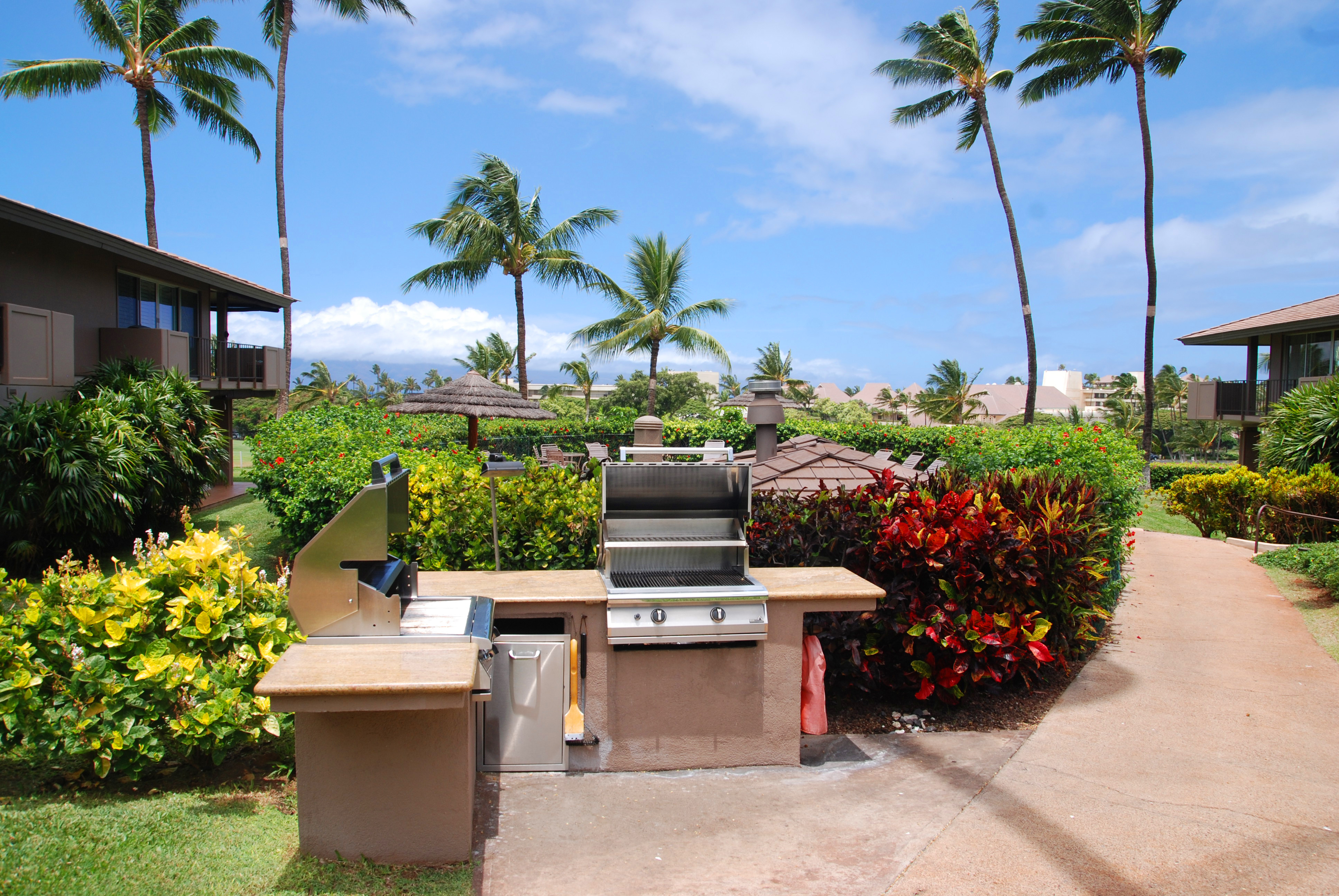 Kaanapali Condo 948764