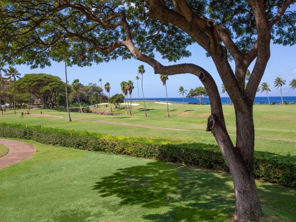 Kaanapali Condo 948767