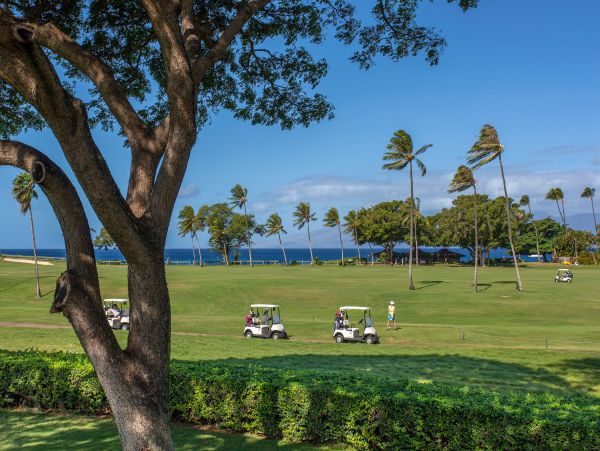 Kaanapali Condo 948767