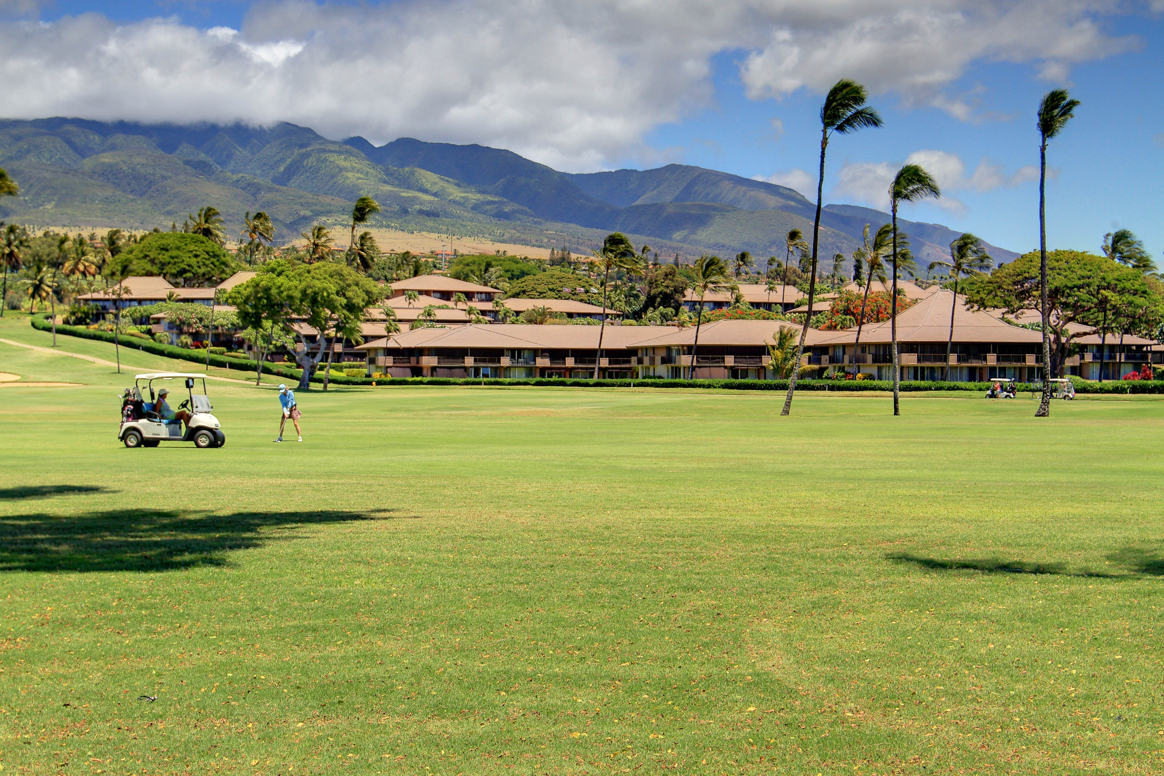 Kaanapali Condo 948767