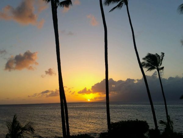 LAHAINA OCEANFRONT 2 BEDROOM CONDO