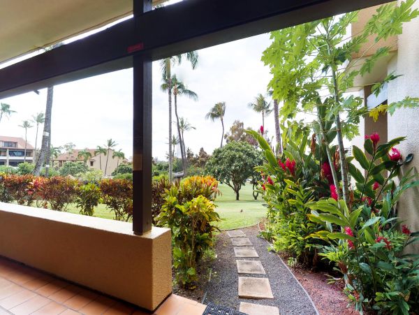 Kaanapali Condo 948771